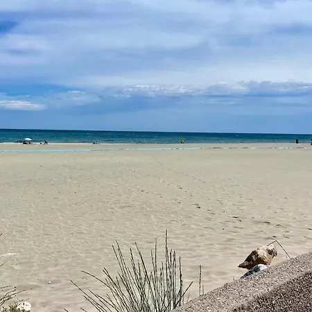Cosy 2 Pieces Avec Wifi, Terrasse Ouest, 50m Et Commerces - Sud - Fr-1-748-21 Apartment Canet-en-Roussillon